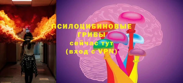 spice Белокуриха