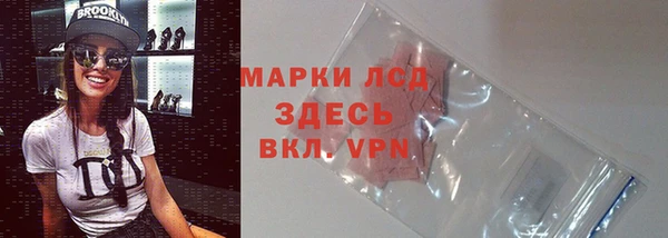 spice Белокуриха