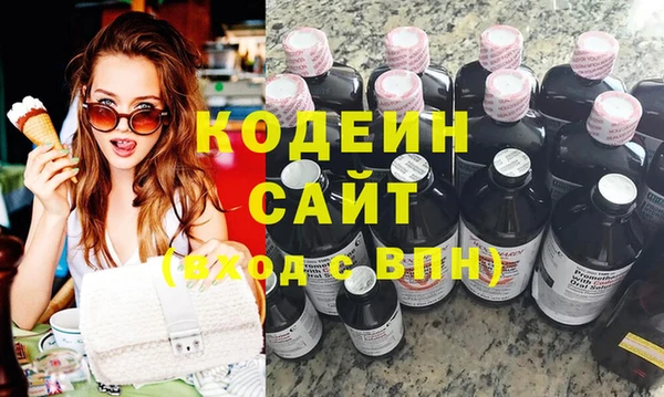 дмт Каменка