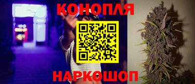 сатива Магнитогорск