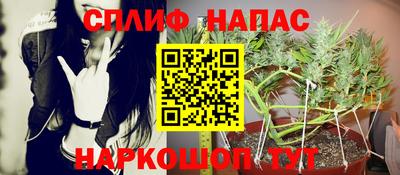 МДПВ Рузаевка