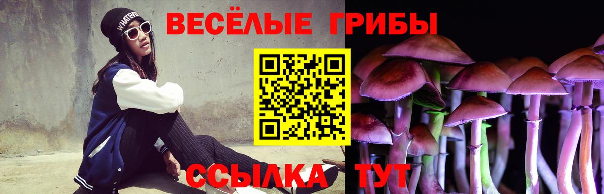 Псилоцибиновые грибы Cubensis Реж